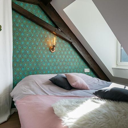 Strasbourg Mon Amour - Cozy - Rbnb ภายนอก รูปภาพ